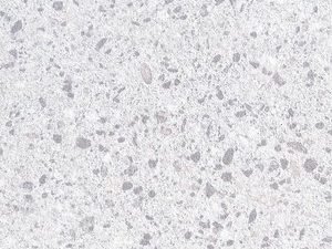 1187GP Cloud Terrazzo