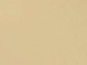2BR Brushed Gold