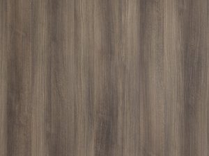 1006GP Foothill Pine