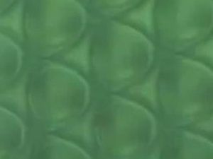 Bencore Starlight Green Frosted